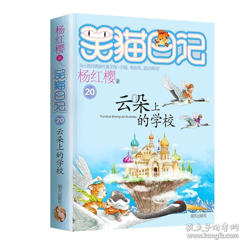 迷路的可爱男孩